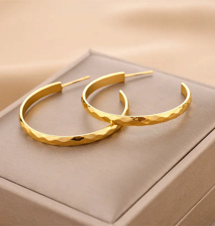 Titanium Steel No-Fading Geometric Earrings null