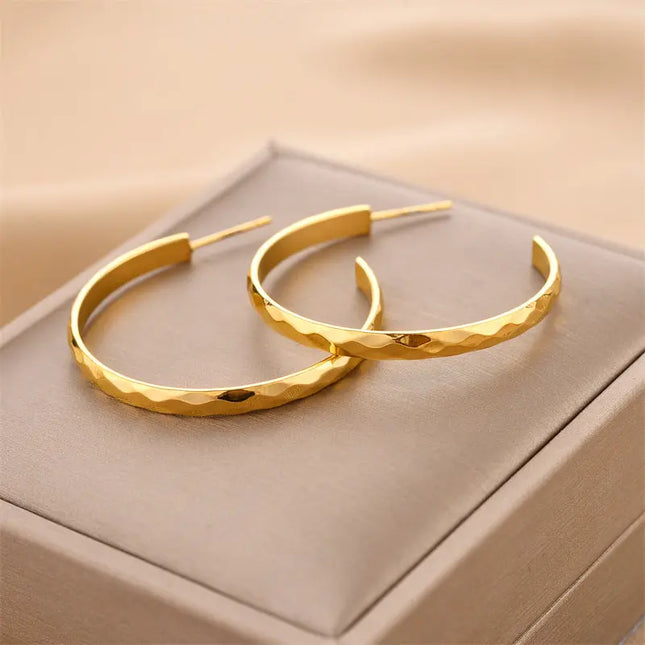 Titanium Steel No-Fading Geometric Earrings null