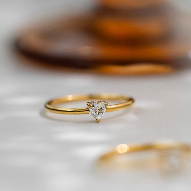 Affectionate Zircon Plain Ring In Fine Titanium Steel null