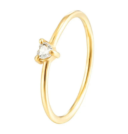 Affectionate Zircon Plain Ring In Fine Titanium Steel null